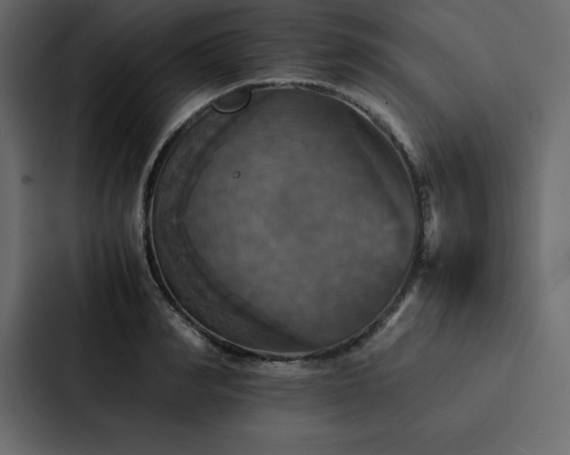 X0000088230990200705151449