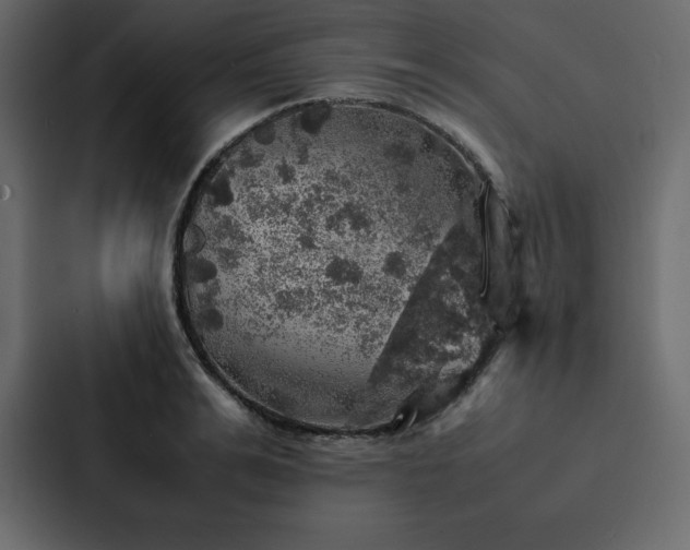 X0000088230991200705151449