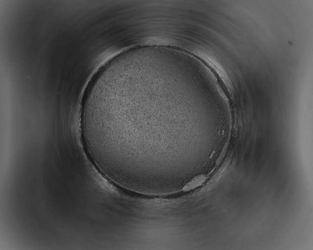 X0000088230992200705151449