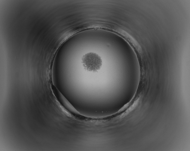X0000088230993200705151449