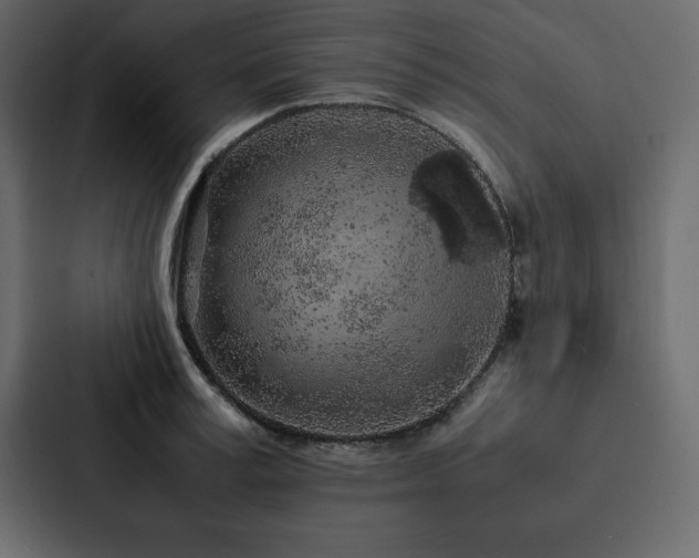 X0000088230995200705151449