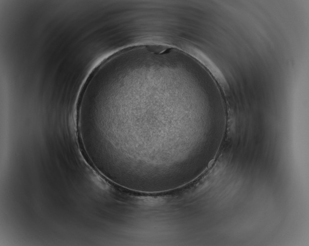 X0000088230996200705151449