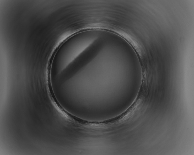 X0000088230998200705151449