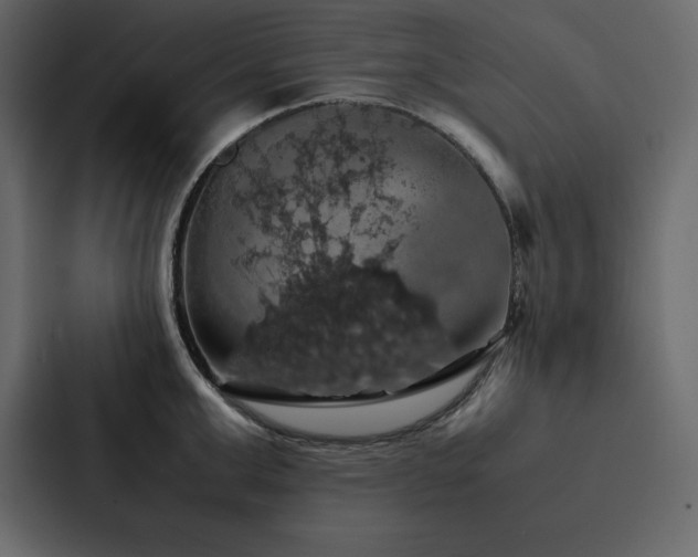 X0000088230999200705151449