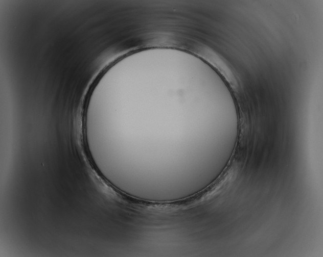 X0000088231000200705151449