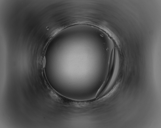 X0000088231001200705151449