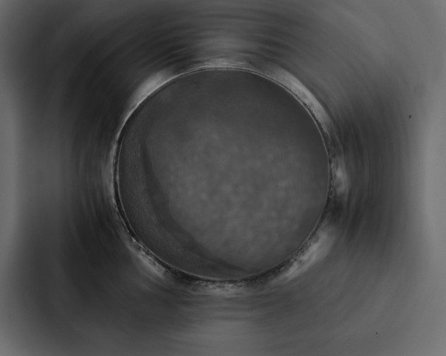 X0000088231002200705151449