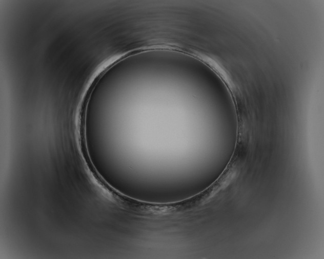 X0000088231003200705151449