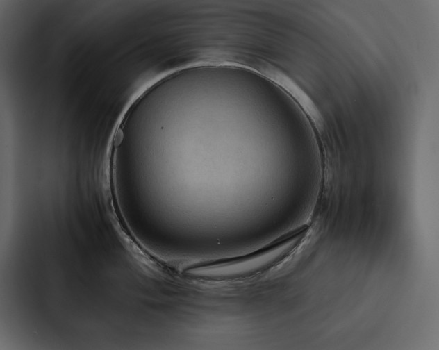 X0000088231004200705151449