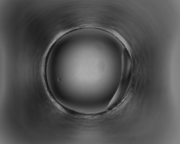 X0000088231005200705151449