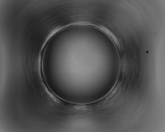 X0000088231006200705151449