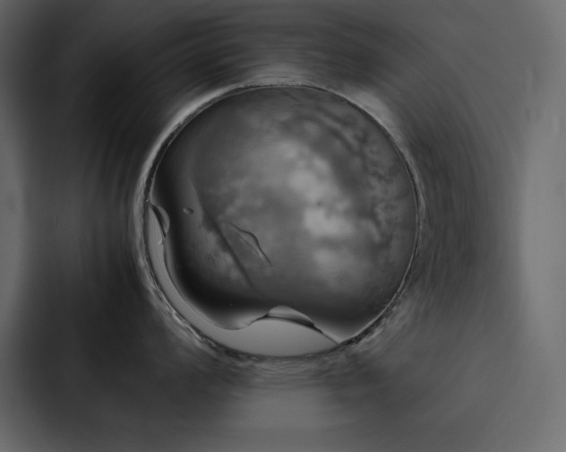 X0000088231008200705151449