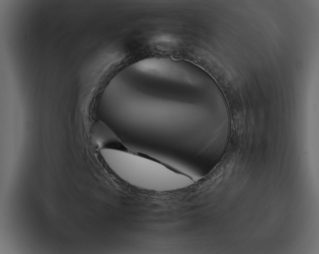 X0000088231009200705151448