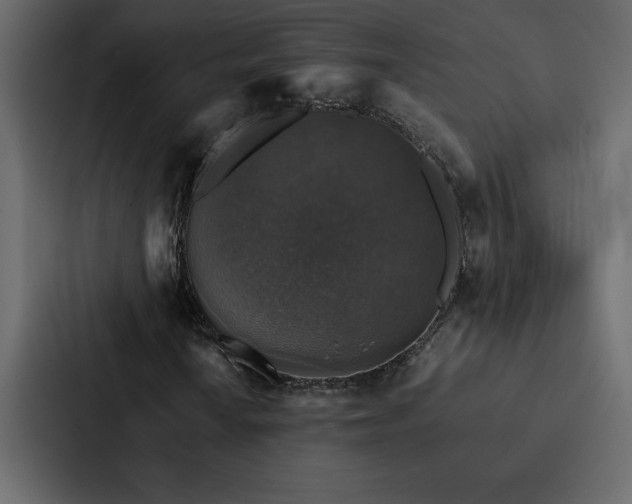 X0000088231010200705151448