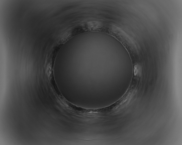 X0000088231011200705151448