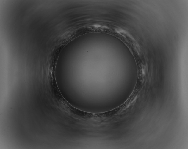 X0000088231013200705151448