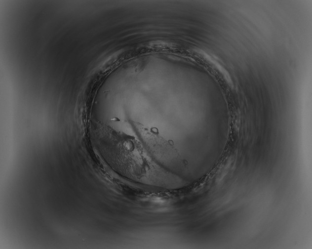 X0000088231015200705151448