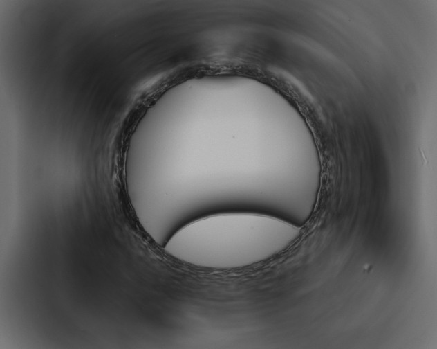 X0000088231016200705151448
