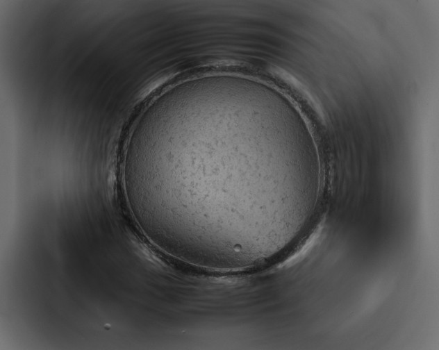 X0000088231017200705151448