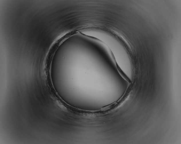 X0000088231018200705151448