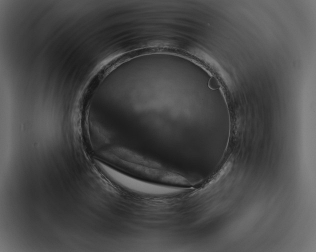 X0000088231019200705151448