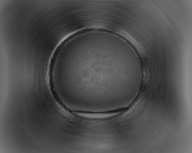 X0000088231020200705151448