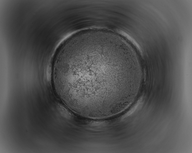 X0000088231021200705151448
