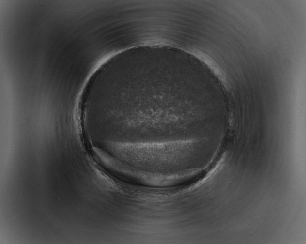 X0000088231022200705151448