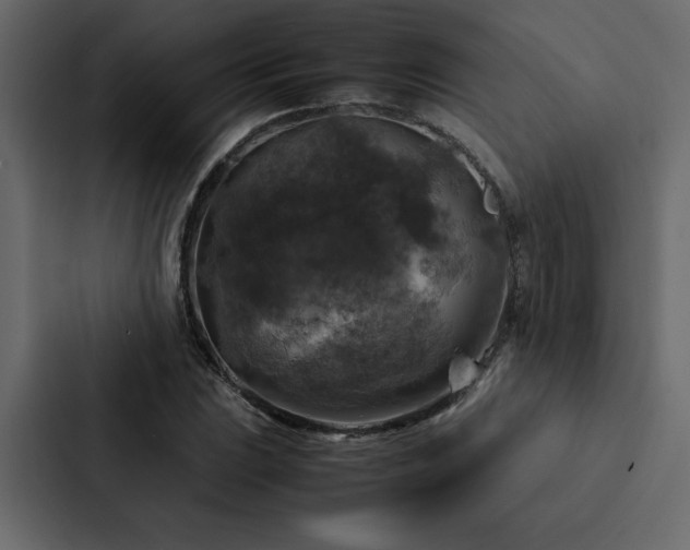 X0000088231023200705151448
