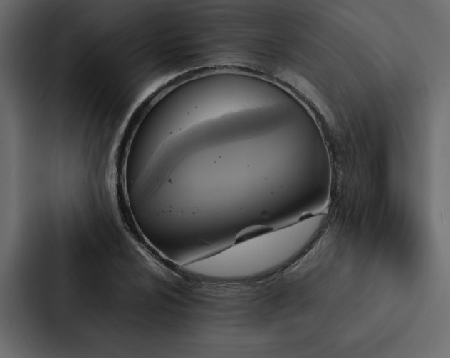 X0000088231024200705151448
