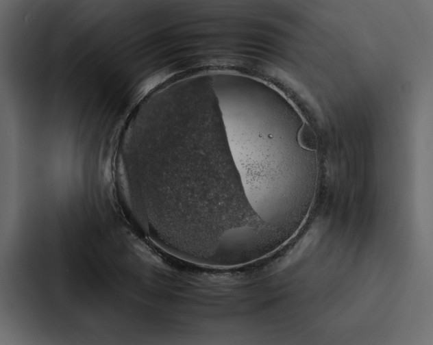 X0000088231025200705151448