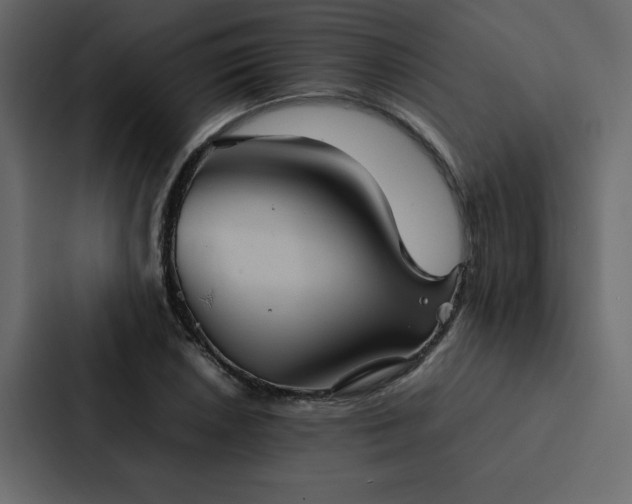X0000088231026200705151448