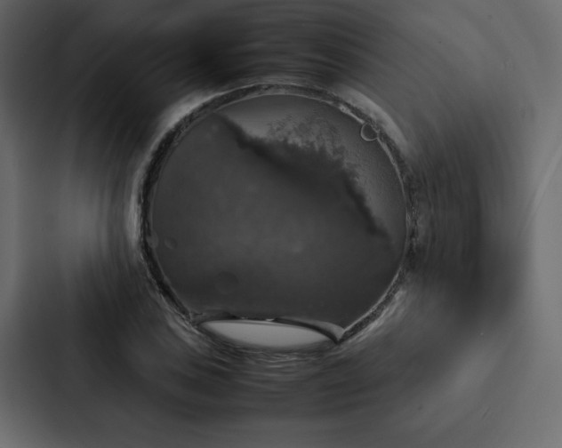 X0000088231027200705151448