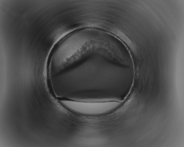 X0000088231028200705151448