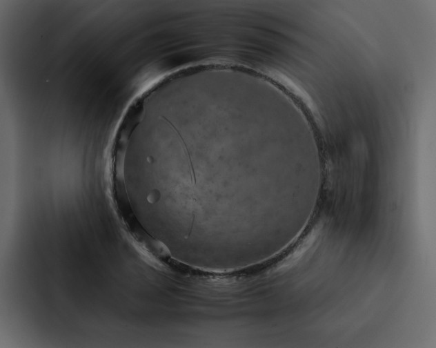X0000088231029200705151448