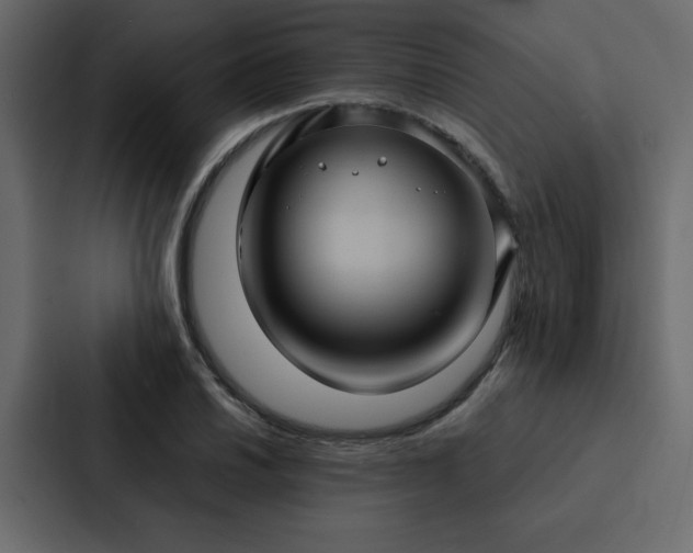 X0000088231030200705151448