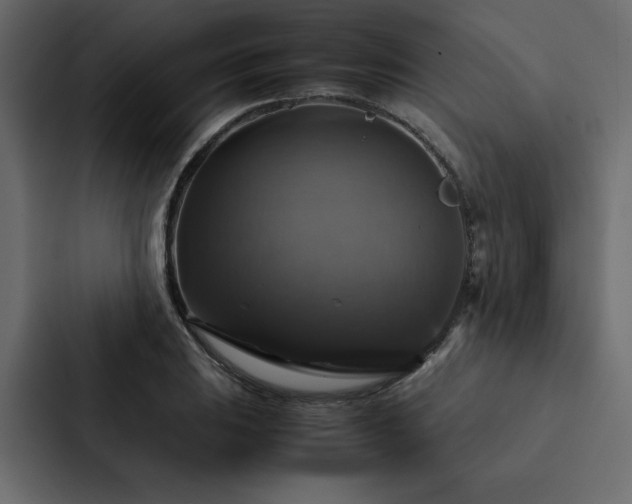 X0000088231031200705151449