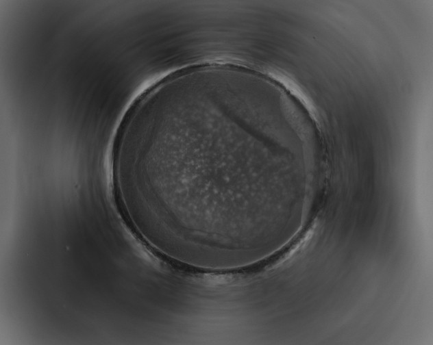 X0000088231032200705151449