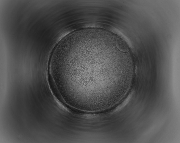 X0000088231033200705151449