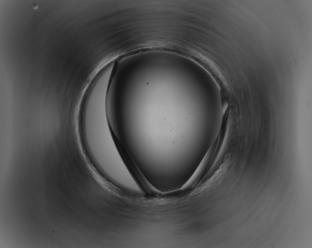 X0000088231034200705151449