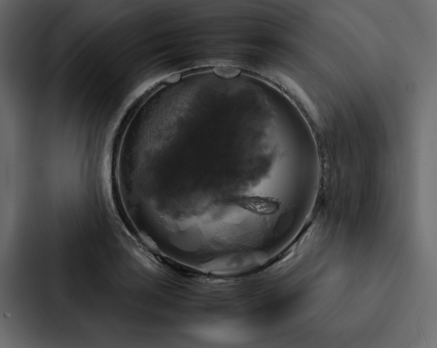 X0000088231035200705151449