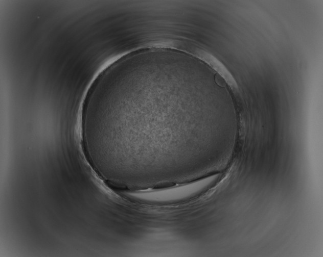 X0000088231036200705151449