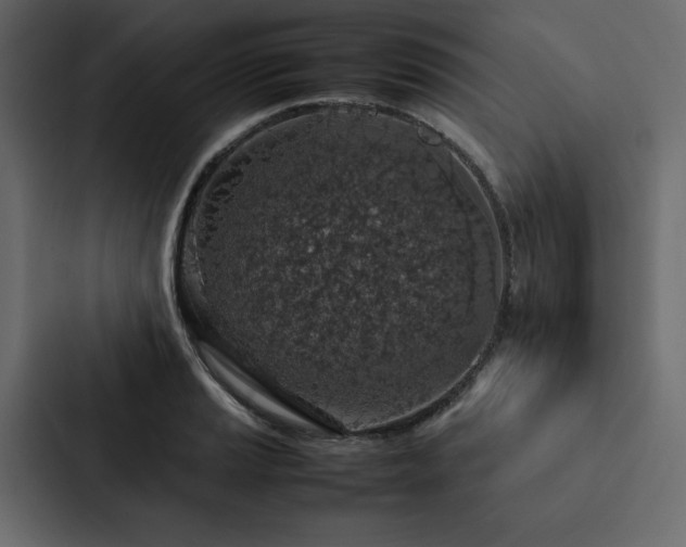 X0000088231037200705151449