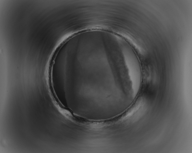 X0000088231038200705151449