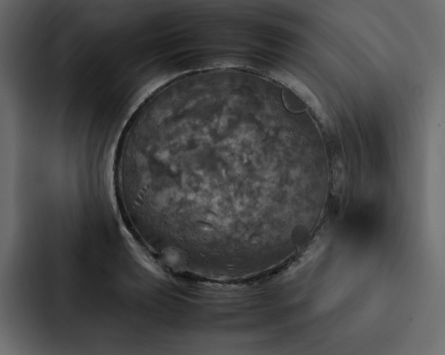 X0000088231039200705151449