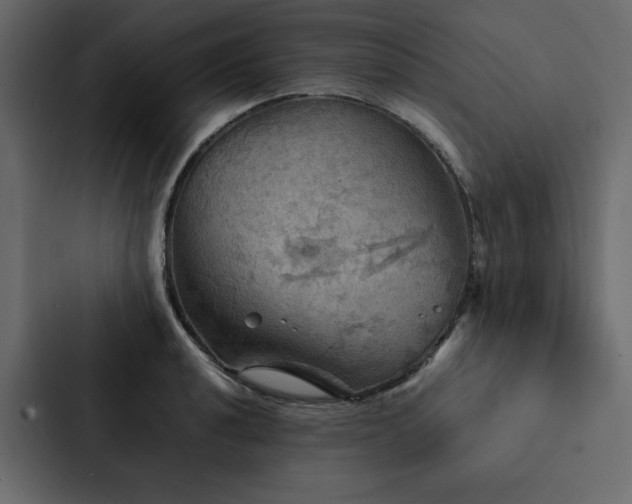 X0000088231040200705151449