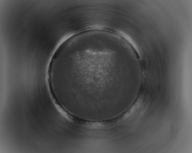X0000088231042200705151449