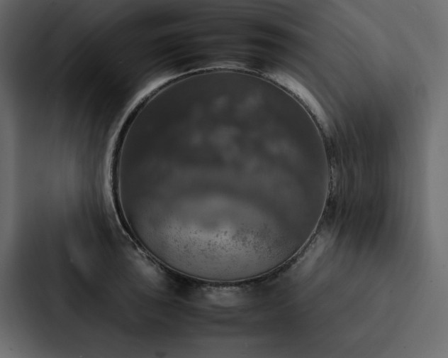X0000088231043200705151449