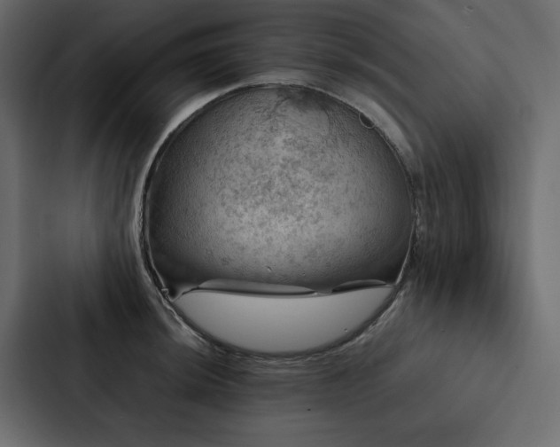X0000088231044200705151449
