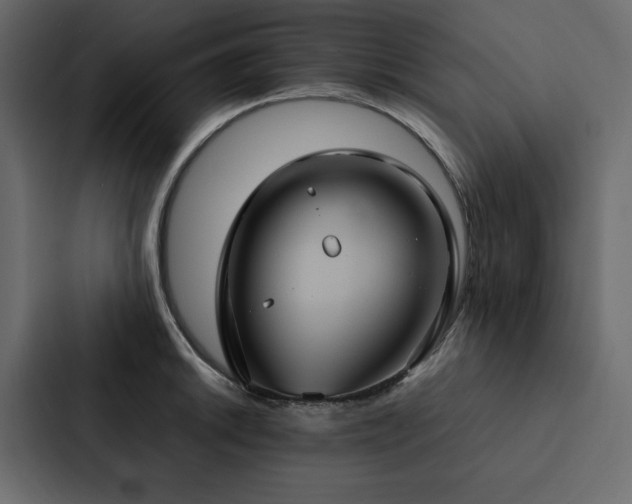 X0000088231046200705151449